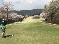 桜ゴルフ